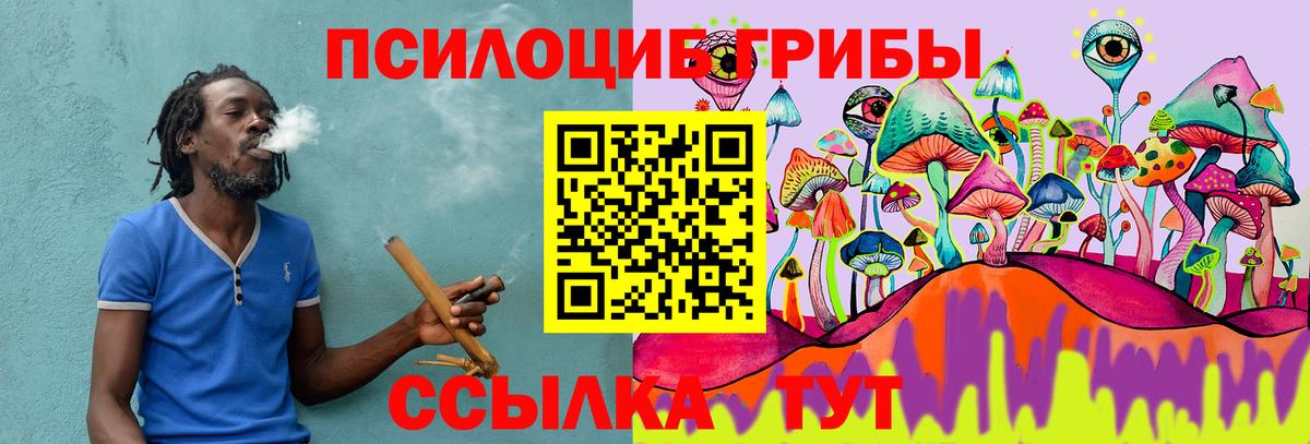 Пугачёв  Псилоцибиновые грибы мухоморы  Вход с VPN 
